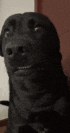 IMG_0705.PNG